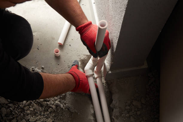 Best Local Plumber Services  in Shorewood, IL