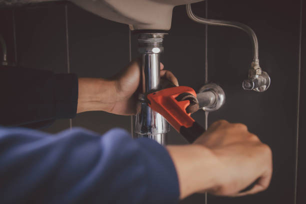 Best Plumbing Inspection Services  in Shorewood, IL